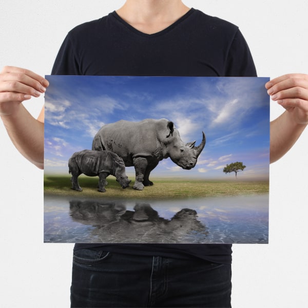 Posters printing at Print Hut Cape Town